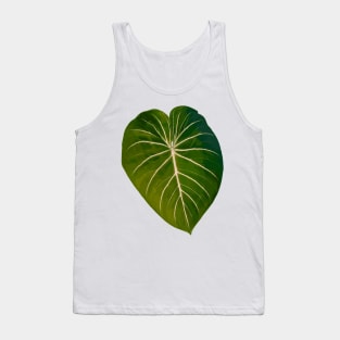 Philodendron gloriosum radiante Tank Top